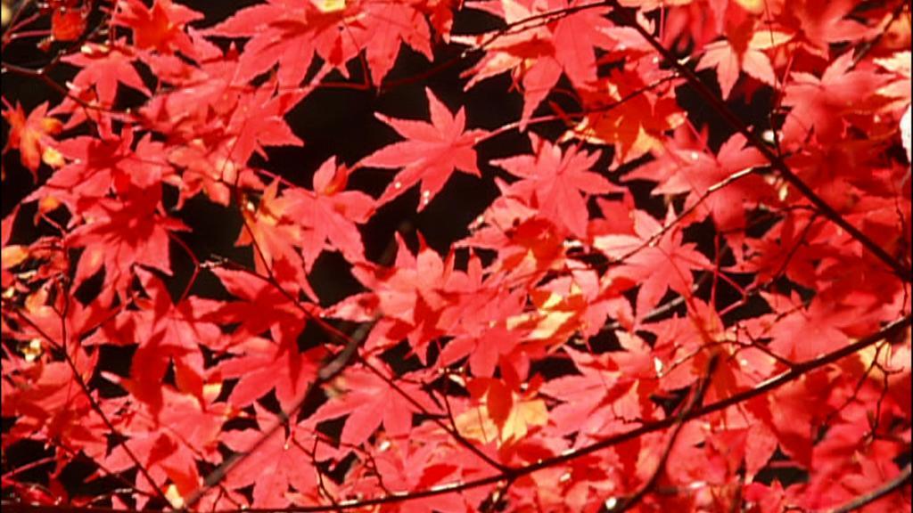 Dormy Inn Kurashiki Natural Hot Spring Exterior foto
